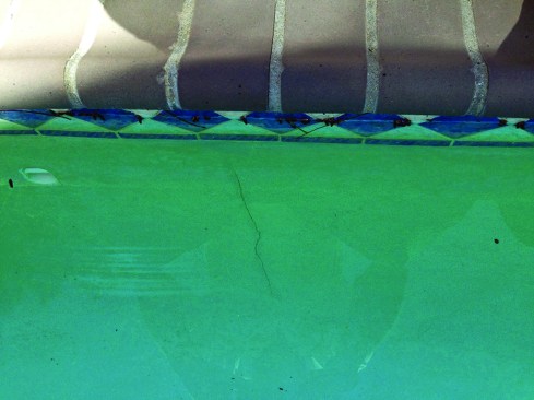 The gunite pool which was built in the early 1960's had developed a noticeable crack and was regularly losing water.