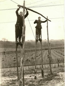 Stilted English farmworkers assemble a support structure for hop plantings that will be used to flavor beer.