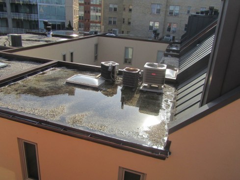 Inadequate slope and poor drainage allows water to pond on a flat roof. The result: biological growth and an increased risk of leaks.