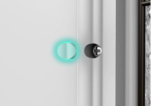 5. Align the screw plugs and tap each into place.