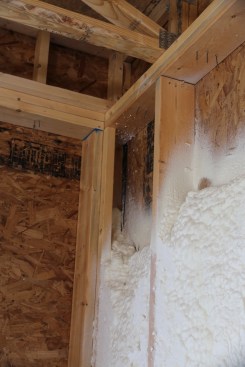 Cracks at plate lines are one obvious example of areas that will need extra attention. The author has also noticed that cracks can develop at the edges of framing cavities and the insulation over time. When he does use foam, his crew pre-foams the gaps and cracks in framing cavities before the bays are filled.