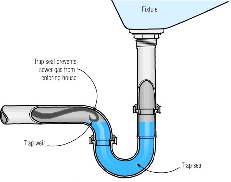 Standard P-trap: All drain traps should have a short horizontal leg before turning down or merging with a drain stack. S-traps are not allowed. With adequate venting, the leg prevents the slug of water from siphoning off.