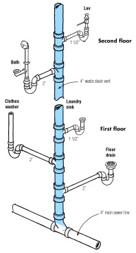A waste stack vent can handle all fixtures except toilets and urinals, as long as each fixture connects individually.