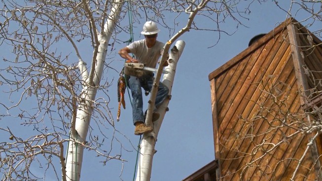 New housing developments in the Colorado Springs wildland-urban interface (WUI) zone must feature âdefensible spaceââwith sparse, pruned vegetationâto prevent the rapid spread of fire.