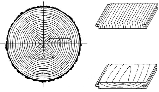 Edge-grained wood shrinks less across the grain and warps less than flat-grained wood.