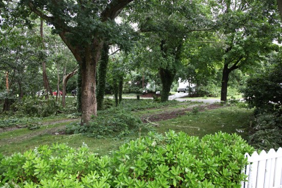 The oak tree in the foreground is about 20 feet to the left of the house. The small branches in the lawn were all that came down in that area.