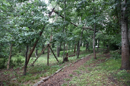 A large locust broke several feet above the ground to frame a sculpture called Rising Run.