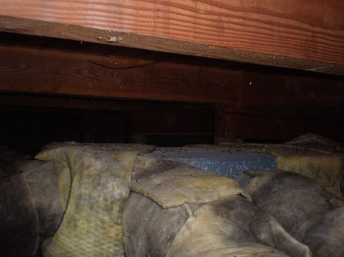 Broken-down fiberglass insulation and rodent feces surrounded this ductwork and was being pulled into the home's air, Kocharhook says.