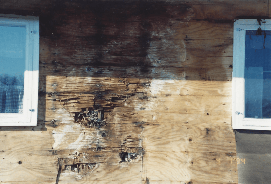 Moisture-laden indoor air migrated toward the outdoors by air leakage and vapor drive and condensed on the back of the sheathing, leading to extensive rot.