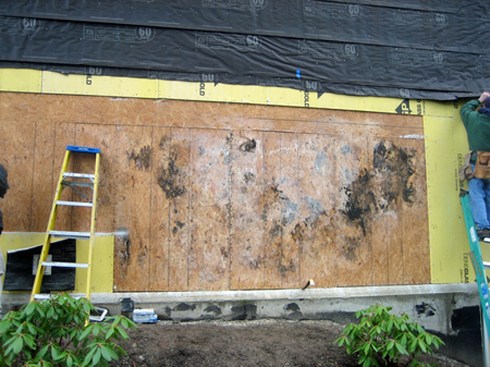 On a multifamily housing complex in Washington state, removal of contact-applied vinyl siding, paper, and gypsum sheathing revealed moldy, decayed OSB.