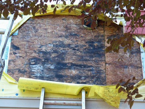 On a different housing complex in Oregon, moisture driven from the interior caused sporadic deterioration of the WRB and decay of OSB sheathing.