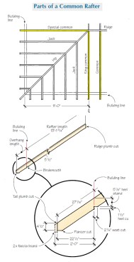 All commons, including king commons and special commons, are cut identically (though the special commons may have a different length). The author starts his layout by marking and cutting the ridge plumb cut, then measures down the rafter length and marks another plumb line to designate the “building line” at the outside wall plates. He locates the birdsmouth by measuring the heel stand along the building line, and also measures from this line to establish the tail cuts.