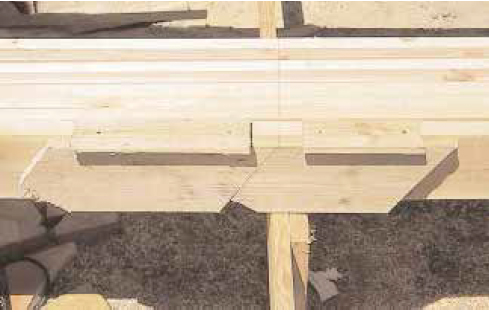 To speed layout on all commons and jacks, the author makes a rafter pattern. He attaches 1x along the top edge for easy alignment. Note that he leaves a gap in this 1x above the birdsmouth so he can find the building line mark on his rafter stock.