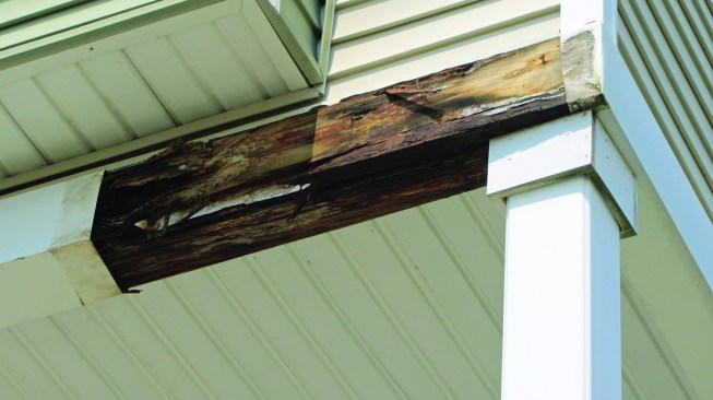 We were called-in to investigate, and quickly discovered mold and rot in the beam under the capping.