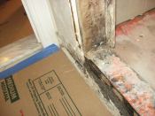 Simply running the liner to the outside edge of the curb isn’t enough to prevent water damage. Water can still seep through cracked grout lines and wick under the liner edge.