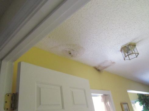 Water was leaking from the upstairs bath through the ceiling below.