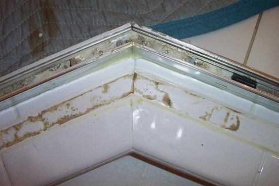 If the liner beneath the tile had been perfect, water could never have reached the framing.
