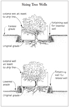 To protect a tree from a change in grade, a raised or lowered well must extend at least to the drip line.