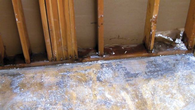 Bottom plates and other wet wood framing should be treated and dried thoroughly to prevent mold.