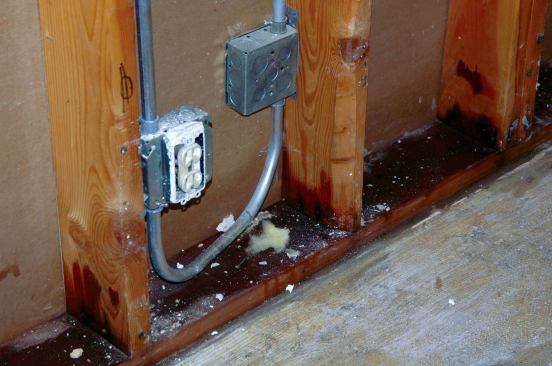 Romex-type wiring can usually be left in place, but conduit should be removed because it can fill with water.