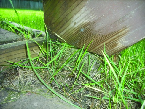 At least 1 1/2 inches of the heel of a stringer's seat cut should bear on the landing. Allowing the toe of the seat cut to be the only part of the stringer that bears on the landing can cause the stringer to shear along the wood grain.