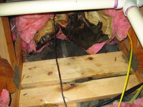 Moisture had soaked insulation above the poly vapor barrier of this wine room.