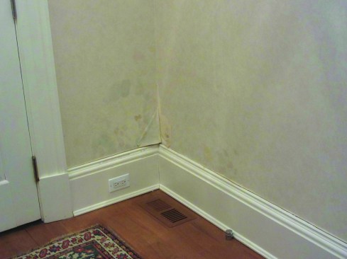 In another, mildew formed on the painted walls of the room.