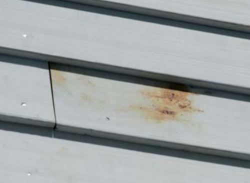 Factory primer usually will not block bleed-through by extractive oils in cedar, as shown above. It also will not provide the "tooth" that helps finish coats bind strongly to the material. The author touch-sands or power-washes the wall (or does both), spot-primes areas of bleed-through with an oil-based stain-blocking primer, then primes the entire wall with regular acrylic primer before applying a finish coat of paint or stain.