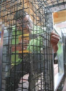 Figure 1. Structural panels made from heavy-gauge galvanized wire form the skeleton of this outdoor kitchen.