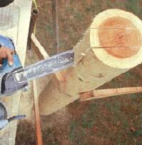 Figure 9. The pockets for beams also require plunge cutting with a chainsaw. The same safety rules apply, with the additional caveat that you should work from scaffolding for stability.