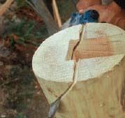 Figure 10. To shed water, the tops of the posts are beveled after the pockets for the beams are cut.