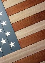 Figure 1. While traditional water-repelling clear finishes allow wood to gray from the sun, colored products block UV-rays for further protection. Toners, like the red shown here, and semi-transparent stains allow grain to show through. Solid stains, like the white and the blue, hide the grain and provide the most protection from UV rays. Photo by The Thompson's Company.