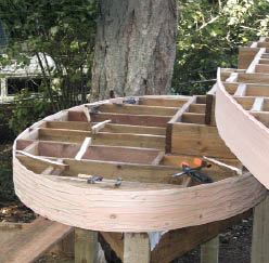 Figure 9. Each layer of fascia depends on lots of glue to hold it to the underlying layer.