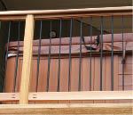 Rails were secured with pocket screws (Kreg Tool Company; 800/447-8638, kregtool.com).