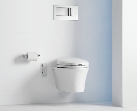 Wall-hung commode: Though most buyers want a bigger bath, those who can’t have it want products that save space without sacrificing storage, like the Veil toilet by Kohler.