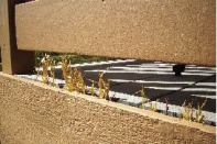 Figure 2. The grass growing out of this deck is a pretty good sign that the framing is likely decayed.