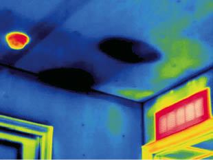 IR image of a ceiling reveals anomalies that don't look like missing insulation. Instead the dark rings, which weren't visible to the naked eye, were cool spots as a result of accumulated moisture.
