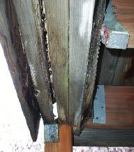 Figure 4. Moisture trapped between its members has rotted this beam, which is at risk for imminent collapse.