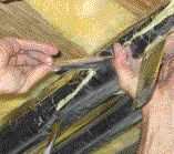 All piping — including water-supply and waste lines, gas lines, and electrical conduits — should be wrapped.