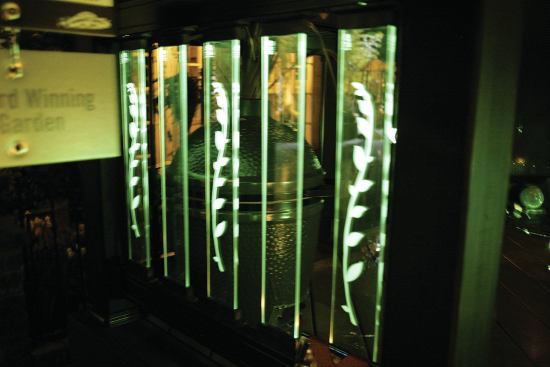 Modified Deckorators glass balusters are lit with an eerie glow, in keeping with the deck's "Alien" theme.