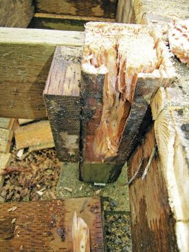 Fastening the treated rail posts directly to the framing created a collection zone where water and organic material were trapped, causing the adjacent wood to rot.