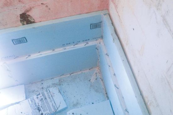 In the DER homes, existing slabs were removed so that new plumbing, a passive radon-mitigation system, and rigid foam insulation could be installed. The interior foundation wall foam was applied prior to the slab pour, making it easier to keep the below-slab foam ìpan,î as shown here, continuous with and connected to the wall foam.