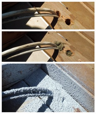Before we sealed with elastomeric, big wiring holes were stuffed with fiberglass to prevent material from flowing through them.
