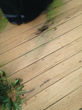 The same 5/4x6 ACQ stock that was used for the cap rail in the previous photo was used for the decking, which also needed replacement. 