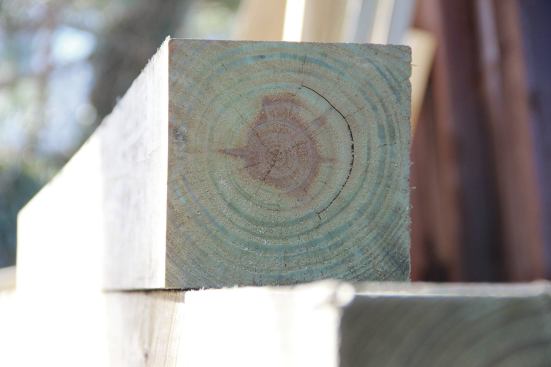 Sapwood accepts preservatives more readily than heartwood at the center of a log.