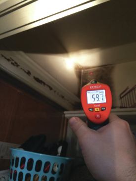 Even without a thermal camera it would have been easy to find the spots where the dense-pack wall insulation was missing or had settled. Just look for the mold, which was growing wherever the surface temperature was lower than the dew point.