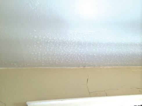 The attic floor above this area of ceiling was missed when the attic was insulated. The house was so humid that water condensed on the cool part of the ceiling.