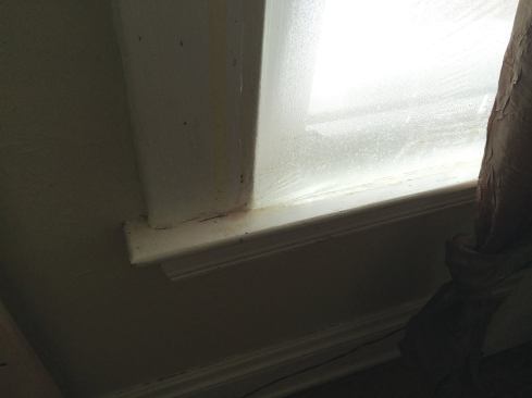 Condensation formed on the plastic covering the windows. Leaks in the plastic allowed condensation to form on the windows as well.