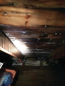 The first 6 to 8 feet of the roof was completely soaked by the frost on the nails poking through.