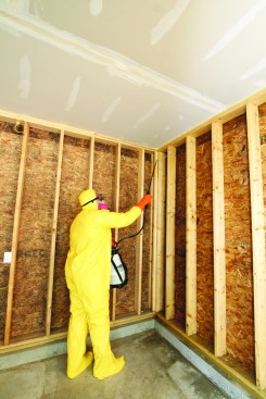 He applies it to the affected areas of the OSB.